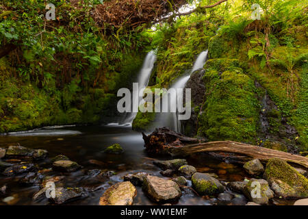 Venford Angleterre Devon Dartmoor tôt le matin à une belle cascade double sur Venford Brook Banque D'Images