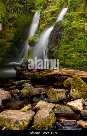 Venford Angleterre Devon Dartmoor tôt le matin à une belle cascade double sur Venford Brook Banque D'Images