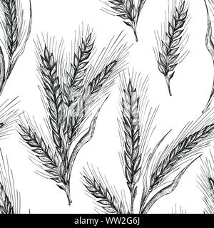 Modèle sans couture main botanique croquis les oreilles de gerbe de blé isolé sur fond blanc. Leur gravure. Châssis de fines herbes. Collecte d'aliments naturels Illustration de Vecteur