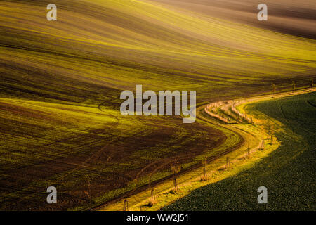 Chemin solitaire entre les champs en Toscane de Moravie, République Tchèque Banque D'Images