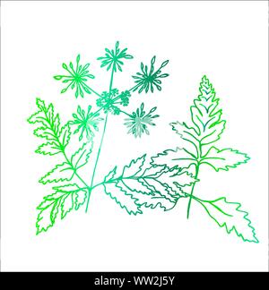 Couleur d'un usine fractale. Feuilles et fleurs Illustration de Vecteur