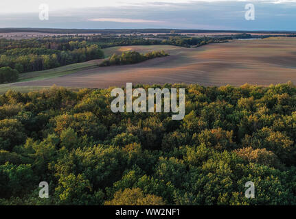 Lietzen, Allemagne. 10 Sep, 2019. La lumière du soir soleil projette de longues ombres sur le paysage agricole dans le district de territoire (photographie aérienne avec un bourdon). Crédit : Patrick Pleul/dpa-Zentralbild/ZB/dpa/Alamy Live News Banque D'Images