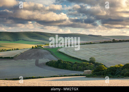 Les collines du Parc National des South Downs dans l'East Sussex near Lewes Banque D'Images