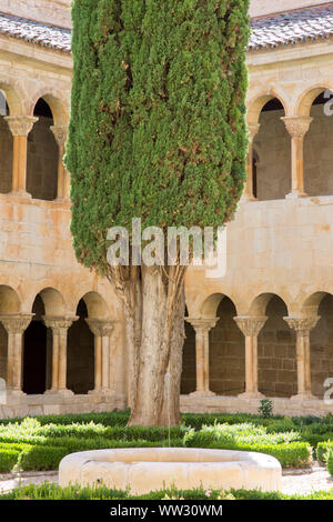 Cloître et cyprès, Monastère, Santo Domingo de Silos, Burgos, Espagne, Banque D'Images