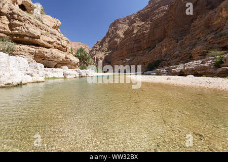 Petit étang dans Wadi Shab, Oman, Middle East Banque D'Images