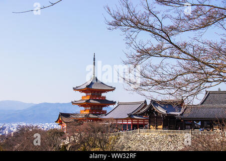 KYOTO, JAPON - 12 mars 2018 : Touristique au temple Kiyomizu-dera pendant cherry (sakura) floraison vont fleurir à Kyoto, Japon Banque D'Images