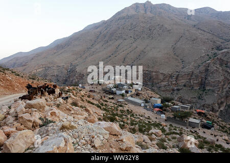 Un troupeau de chèvres marcher sur un chemin de terre dans un petit village de montagne, Oman Banque D'Images