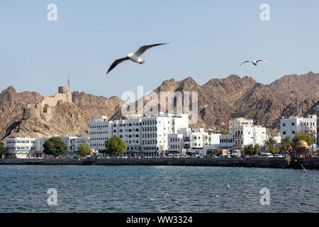 Vol de mouettes sur la promenade Harbourfront à Muscat, Oman Banque D'Images