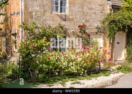 Fleurs d'été sur une pierre de Cotswold cottage dans le village de Stanway Bois, Gloucestershire UK