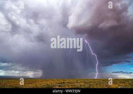 Un coup de foudre et une forte pluie d'un nuage d'orage dans le désert près de Chinle, Arizona, États-Unis Banque D'Images