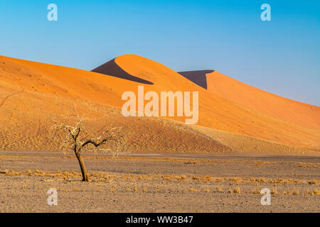 Dunes de sable, Sossusvlei, Namib-Naukluft National Park, Sesriem, Namibie Banque D'Images