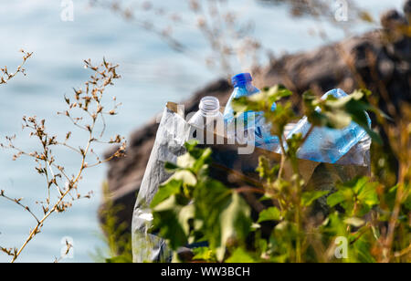 Burgas Bulgarie 13 Septembre 2019 : les bouteilles en plastique à gauche sur la rive du fleuve de la faune région riche en danger la faune du lac Vaya avenir. Banque D'Images