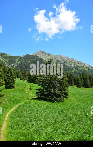 Beau paysage dans les Belianske Tatras, avec un étroit chemin menant à la montagne. La Slovaquie. Banque D'Images