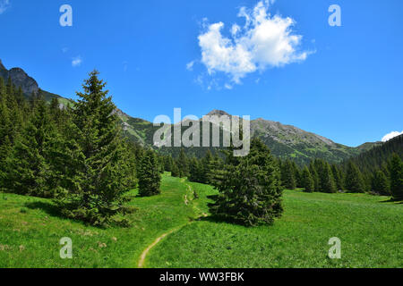 Beau paysage dans les Belianske Tatras, avec un étroit chemin menant à la montagne. La Slovaquie. Banque D'Images