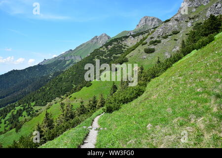 Beau paysage dans les Belianske Tatras, avec un étroit chemin menant le long des montagnes. La Slovaquie. Banque D'Images