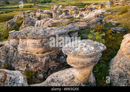 Les roches Hoodoo, écrit sur de la pierre, parc provincial (aussi connu comme 'ÃÃ-sÃ-nai'pi' par la Nation des Pieds-Noirs) Alberta, Canada Banque D'Images