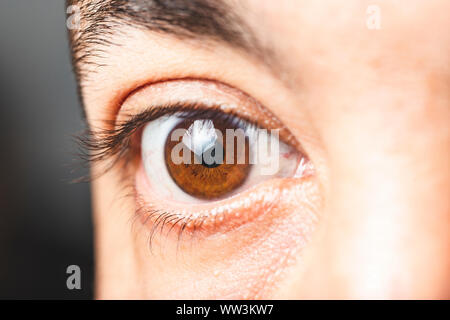 Macro image des droits de l'œil brun - vue rapprochée de l'homme brown eye Banque D'Images