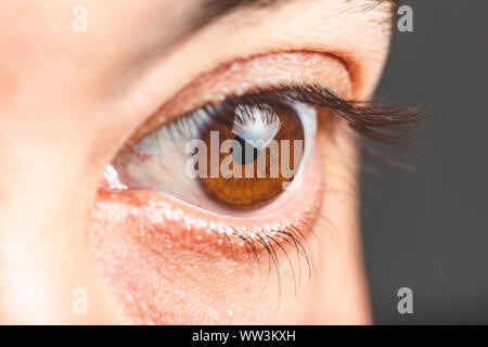 Macro image des droits de l'œil brun - vue rapprochée de l'homme brown eye Banque D'Images