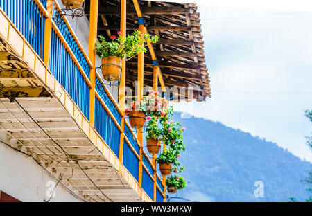 Vue sur balcon colorés en face de bâtiments coloniaux de jardin, Colombie Banque D'Images