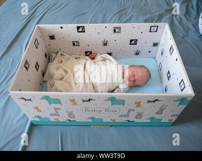Bébé nouveau-né endormi dans une boîte de bébé Banque D'Images
