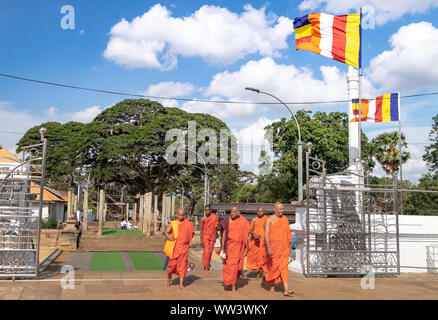 ANURADHAPURA/ SRI LANKA - août 07, 2019 : La marche de la moines non-Mahatupa stupa grand dagoba dans Anuradhapura, SRI LANKA. Banque D'Images