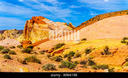 Les couleurs rouge, jaune et blanc sont des formations rocheuses le long de la coupole blanche Sentier dans le parc national de la Vallée de Feu au Nevada, USA Banque D'Images