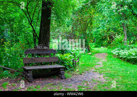 Un vieux banc en bois dans le parc entre les arbres et l'herbe verte dans la forêt le long de laquelle il y a un chemin pour marcher. Reste et la tranquillité dans l'un frais Banque D'Images