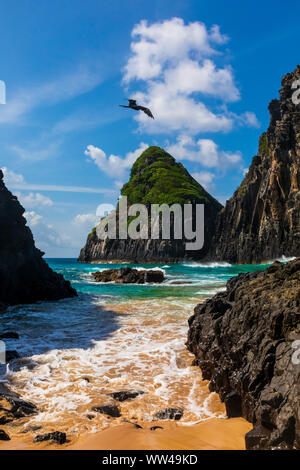 Belle vue de Morro Dois Irmãos à Fernando de Noronha Banque D'Images