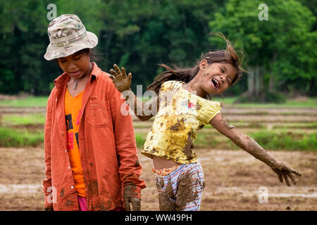 Les enfants thaïlandais jouent dans la boue pendant la saison d'ensemencement dans la région de Nakhon Nayok, Thaïlande Banque D'Images