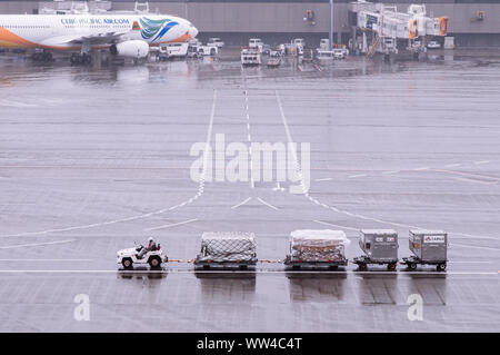 DEC 6, 2018 Narita, Japon - Tokyo Narita International airport dépanneuse chariots à bagages avec travail dans de mauvaises conditions météorologiques à pleuvoir avec l'air de l'aire de Banque D'Images