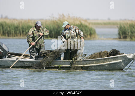 Les pêcheurs sur la rivière Po Po Valle de Gorino Delta Italie Banque D'Images