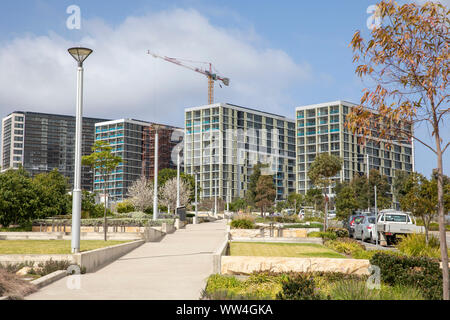 Macquarie Park à Ryde LGA Sydney, des tours d'habitations appartements dans cette banlieue de Sydney, Nouvelle Galles du Sud, Australie Banque D'Images
