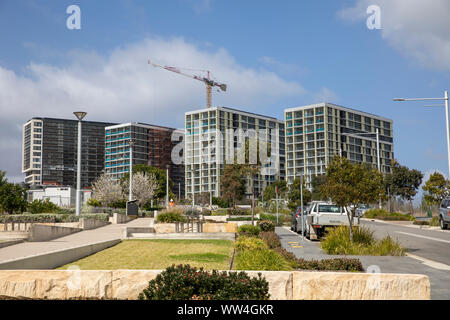 Macquarie Park à Ryde LGA Sydney, des tours d'habitations appartements dans cette banlieue de Sydney, Nouvelle Galles du Sud, Australie Banque D'Images