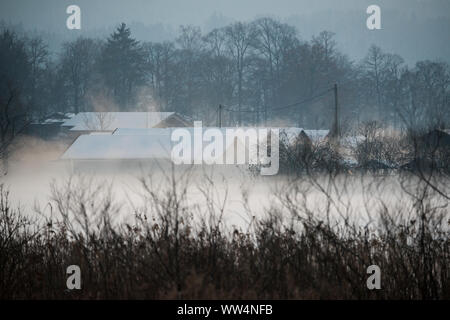 Paysage d'hiver dans la mousse Banque D'Images