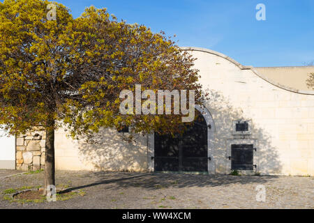 Cave à vin, dans Kellerviertel Winden au lac de Neusiedl, le nord du Burgenland, Burgenland, Autriche Banque D'Images