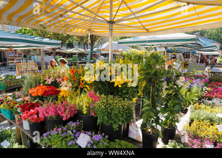 Marché de producteurs sur la Kaiser-Josef-Platz, Graz, en Styrie, Autriche Banque D'Images