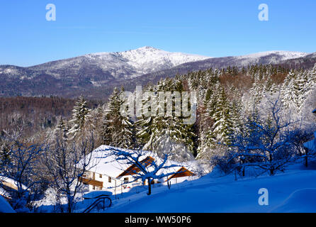 WaldhÃ¤Village utilisateur avec Rachel, près de l'NeuschÃ¶nau, Parc National de la forêt bavaroise, Thuringe, Bavière, Allemagne Banque D'Images