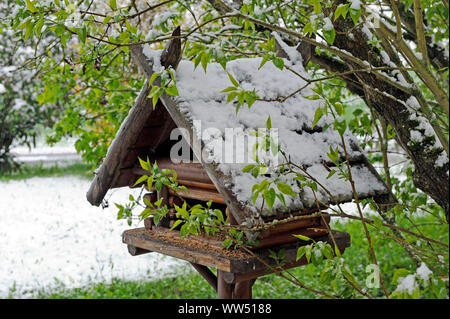 Les chutes de neige fraîche dans postwinter couvrant les arbustes lilas et la cabane de jardin au printemps Banque D'Images