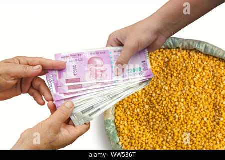 Donner la main 500 Indiens et de 2000 sur les billets de banque en roupies, sac de jute rempli de pois chiches, Pois cassés, Chana jaune Pois chiches Lentilles séchées ou Toor Dal. Banque D'Images