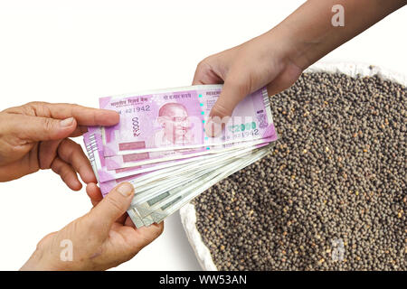 Donner la main 500 Indiens et de 2000 sur les billets de banque en roupies, sac de jute rempli d'Urad Dal Mungo Vigna mungo. Banque D'Images
