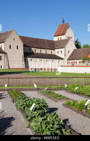 Jardin d'herbe à Minster St Maria et Markus, Mittelzell, du patrimoine culturel mondial de l'UNESCO, l'île de Reichenau, Lac de Constance, Bade-Wurtemberg, Allemagne Banque D'Images