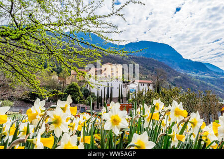 Château Trauttmansdorff près de Merano, le Tyrol du Sud, Italie, Europe Banque D'Images