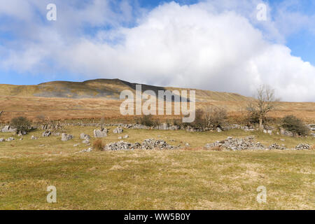 Vues de Whernside du, un sentier Pennine, voyage dans le Yorkshire Dales. Banque D'Images