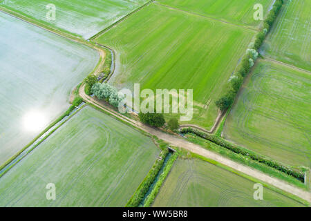 Champs inondés pour la culture du riz vu de dessus, le panorama de la vallée du Pô, Piémont, Italie Banque D'Images