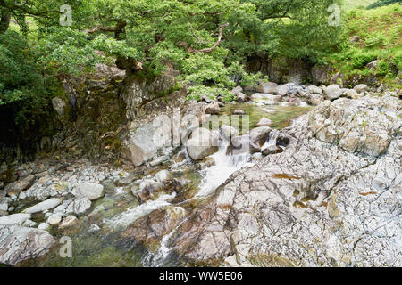 Courant Rapide de l'eau claire d'Galleny Stonethwaite Force près de dans le Lake District. Banque D'Images