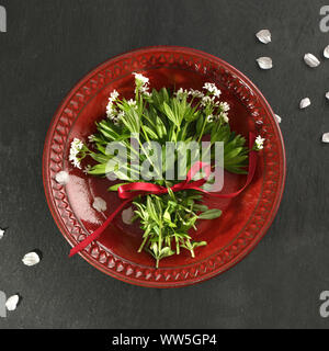 Woodruff bouquet sur plaque rouge Banque D'Images