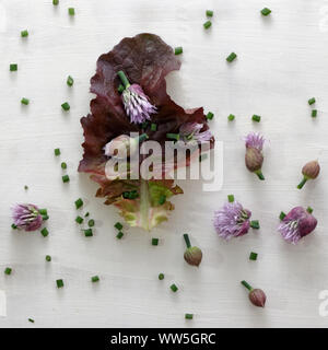 Nature morte avec de la laitue et la ciboulette en fleurs Banque D'Images