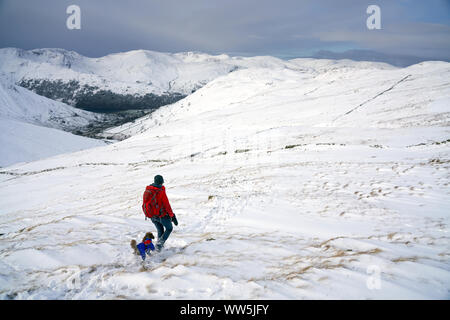 Un randonneur et son chien descendant du Knott vers Hayeswater Hartsop près de Gill dans le Lake District. Banque D'Images