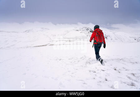 Un randonneur marchant à travers la neige fraîche en descendant du sommet de la montée vers Rampsgill Haute Head près de Hartsop dans le Lake District. Banque D'Images