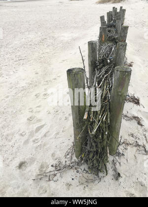 Barrière de protection contre l'érosion sur la plage, de la mer Baltique humide spa, Schleswig-Holstein, Allemagne Banque D'Images